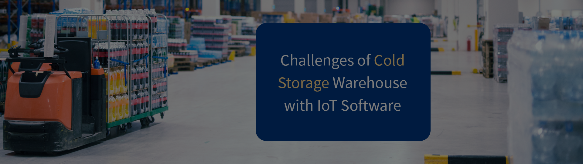 How to Handle the Challenges of Cold Storage Warehouse with IoT Software