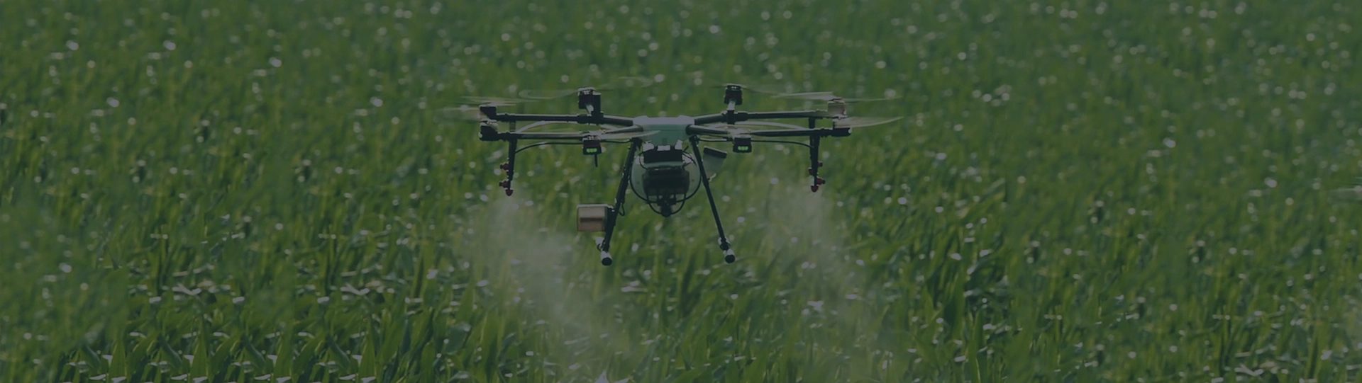 Agriculture drone software: Why farmers have to use UAVs?